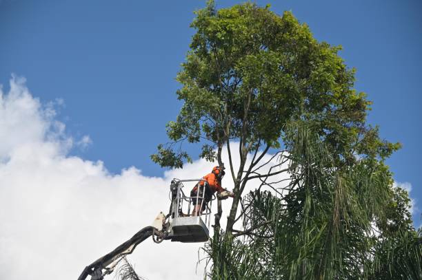 Lawn Irrigation Installation and Maintenance in Moon Lake, FL